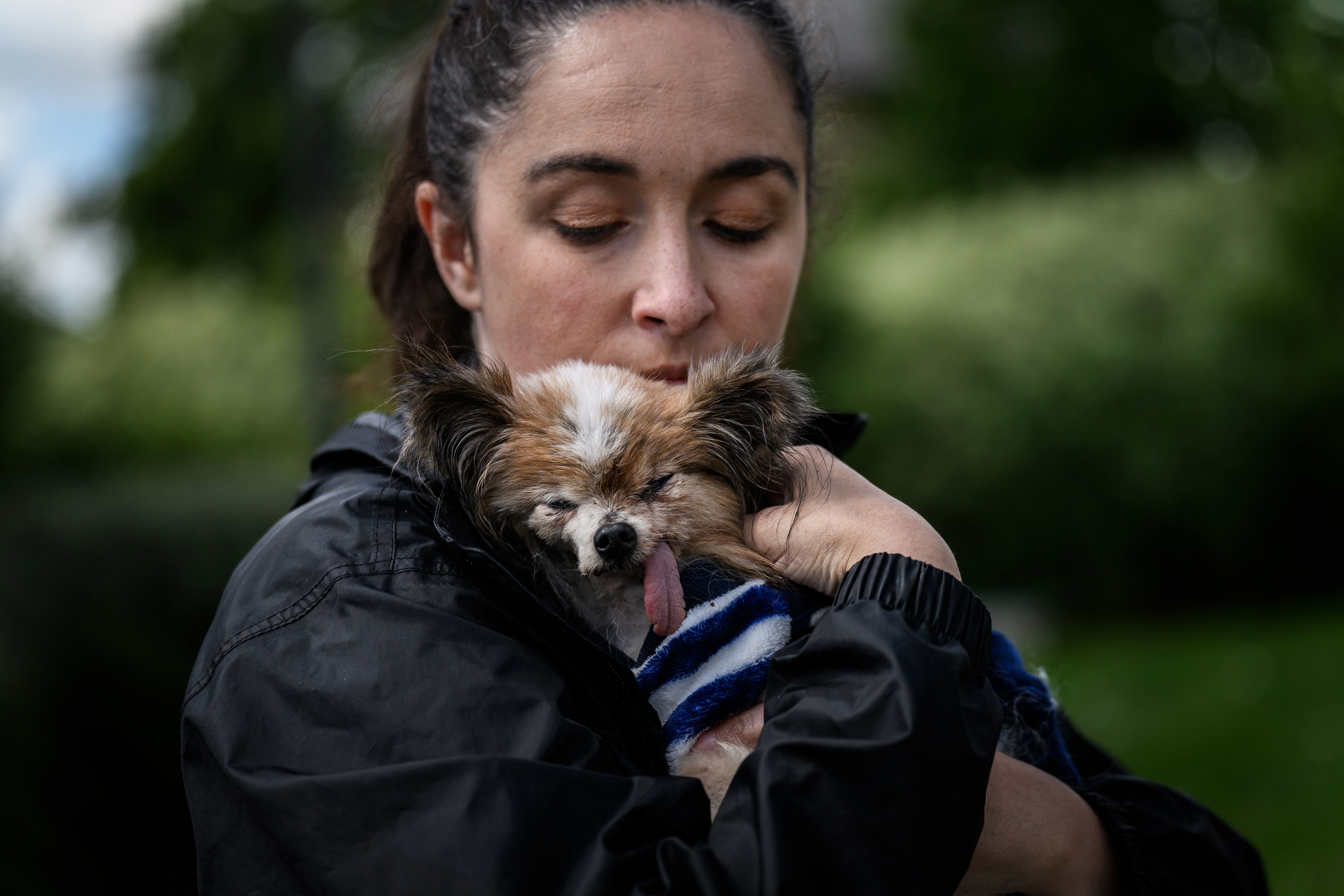 Lazare ในอ้อมอกของ Ophélie Boudol เจ้าของใหม่ (ภาพ: Jeff Pachoud/AFP)