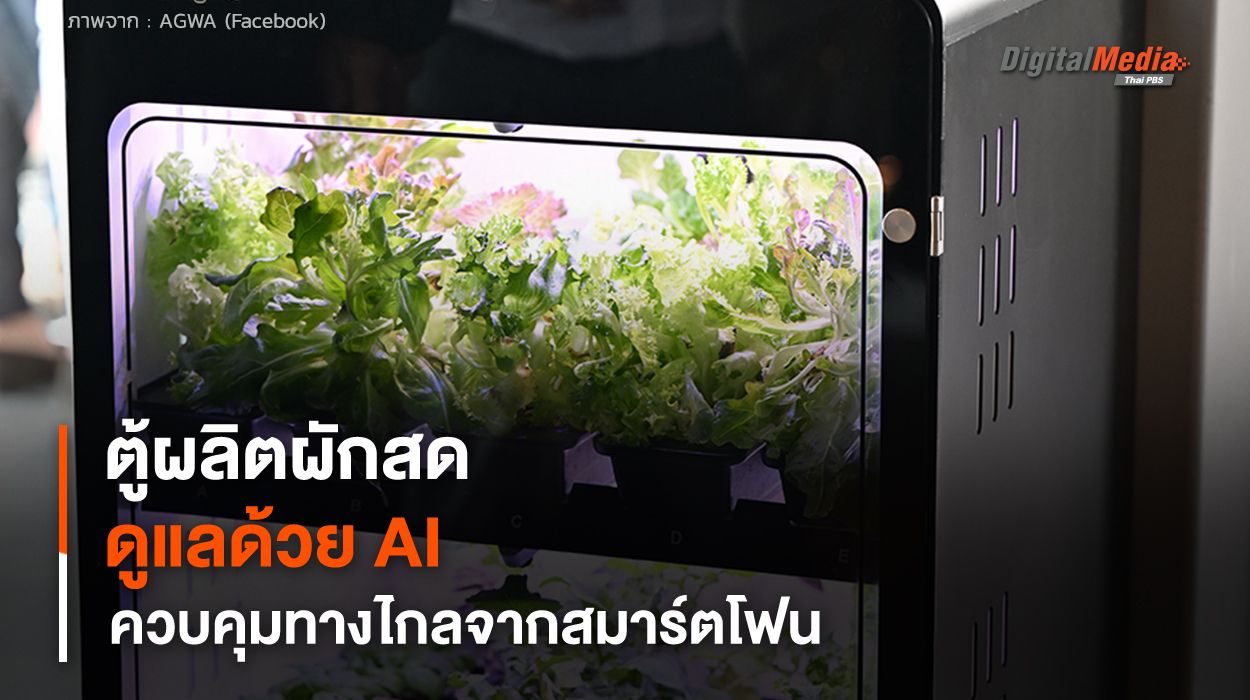 ตู้ผลิตผักสด ดูแลด้วย AI ควบคุมทางไกลจากสมาร์ตโฟน