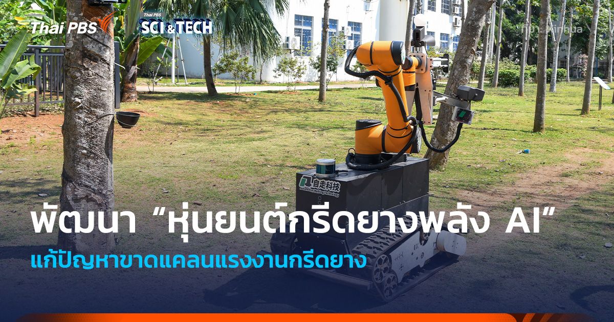 แก้ปัญหาขาดแคลนคนกรีดยาง ! จีนพัฒนา “หุ่นยนต์กรีดยางพลัง AI”