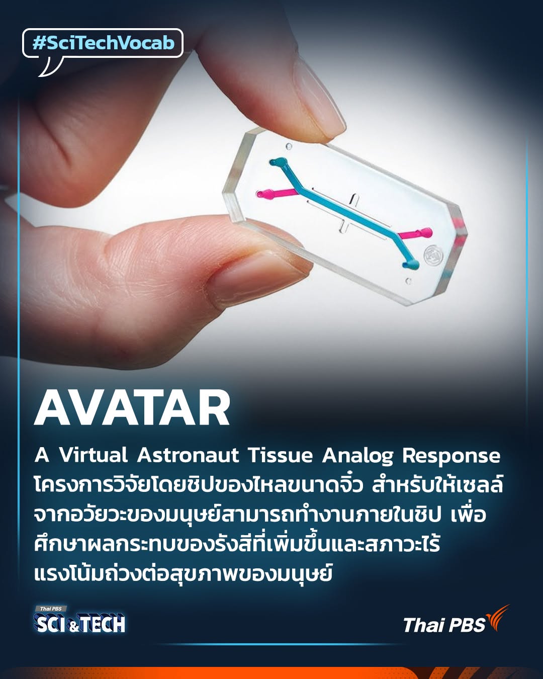 AVATAR