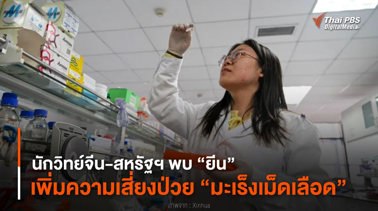 นักวิทย์จีน-สหรัฐฯ พบ “ยีน” เพิ่มความเสี่ยงป่วย “มะเร็งเม็ดเลือด”