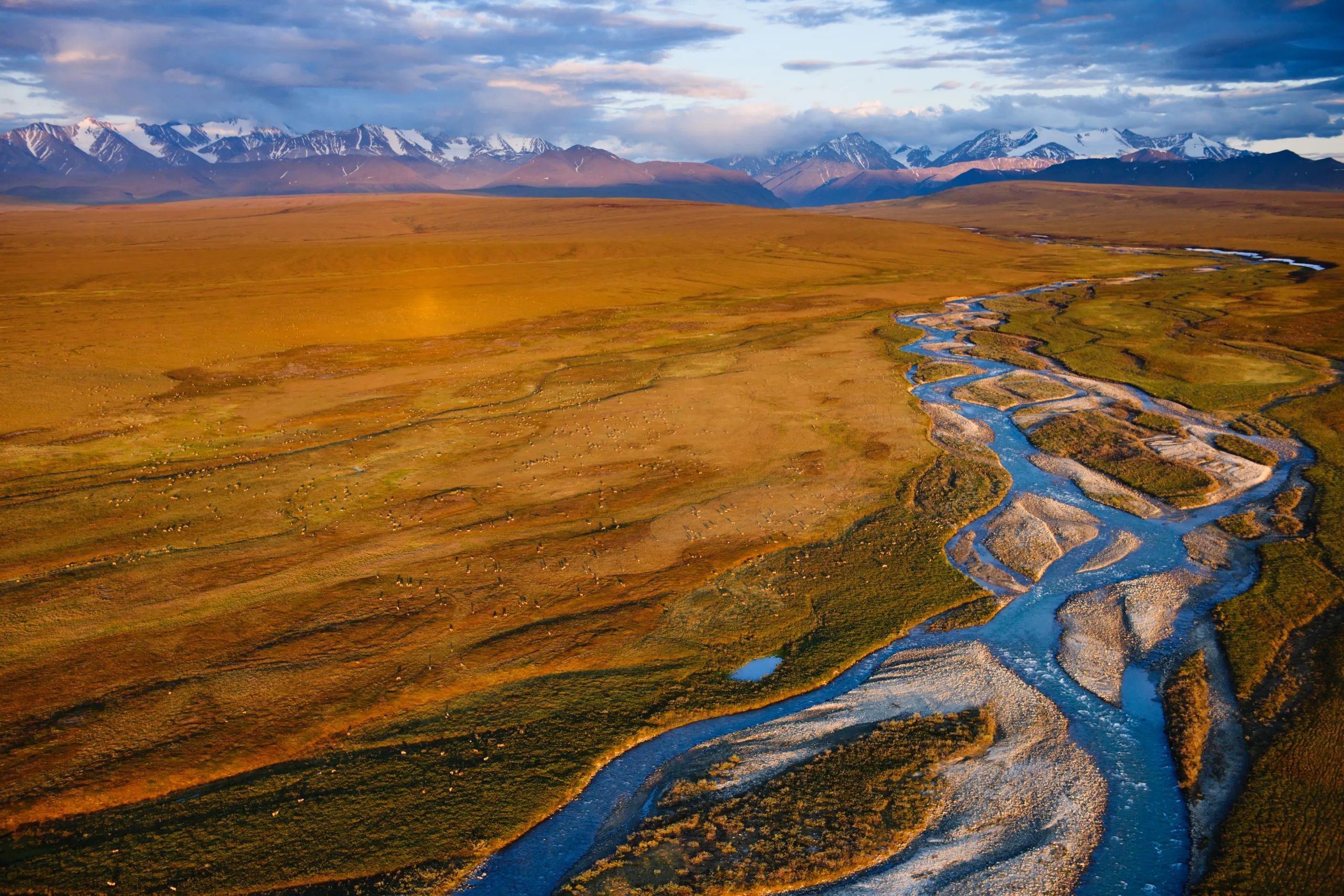 ภาพจากสารคดีเรื่อง America's Arctic - A Refuge Imperiled สู่ดินแดนอาร์กติกอันกว้างไกล