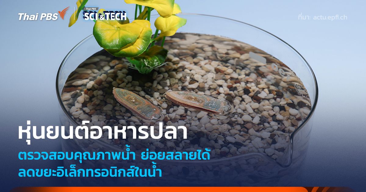 หุ่นยนต์ตรวจคุณภาพน้ำ ย่อยสลายเป็นอาหารปลา ลดขยะอิเล็กทรอนิกส์ในน้ำ