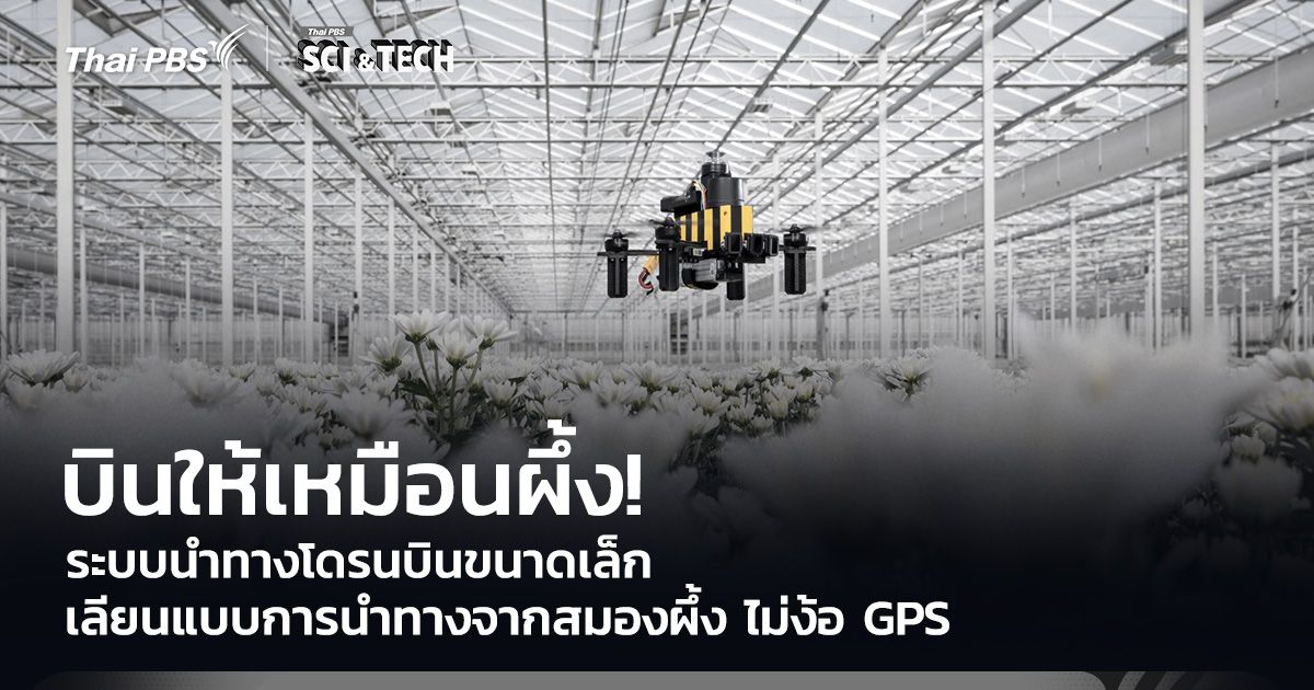 บินให้เหมือนผึ้ง! ระบบนำทางโดรนบินขนาดเล็ก เลียนแบบการนำทางจากสมองผึ้ง ไม่ง้อ GPS