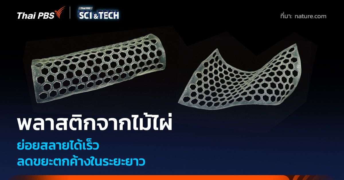 พลาสติกชีวภาพจากไม้ไผ่ ย่อยสลายได้เร็ว ลดขยะตกค้างในระยะยาว