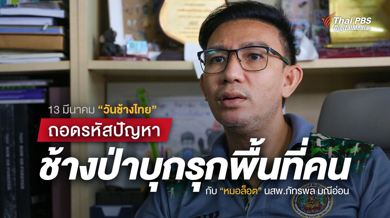 ถอดรหัสปัญหา “ช้างป่าบุกรุกพื้นที่คน” กับ “หมอล็อต” นสพ.ภัทรพล มณีอ่อน