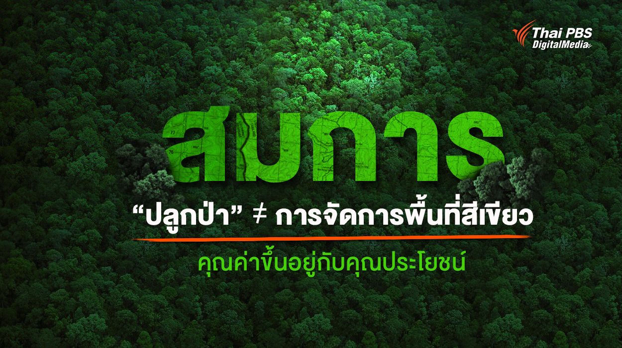 สมการ "ปลูกป่า" ≠ การจัดการพื้นที่สีเขียว คุณค่าขึ้นอยู่กับคุณประโยชน์