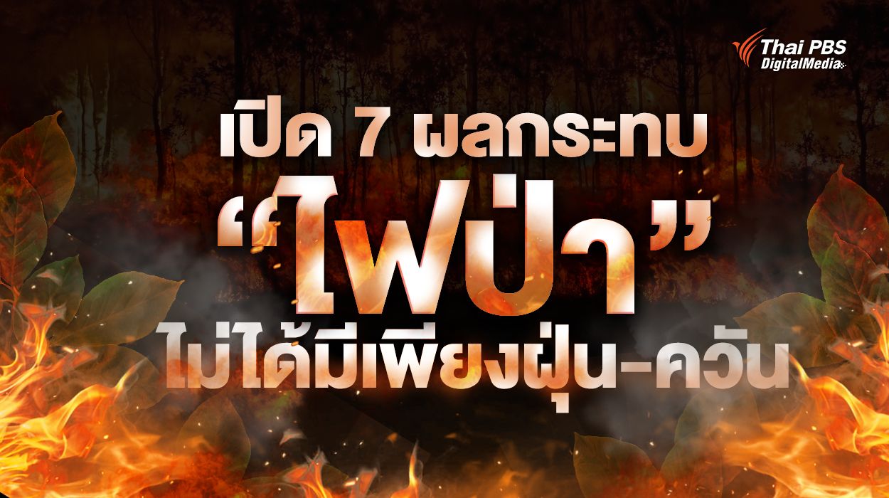 เปิด 7 ผลกระทบ “ไฟป่า” ไม่ได้มีเพียงฝุ่น-ควัน แต่สะเทือนถึงความหลากหลายทางชีวภาพ