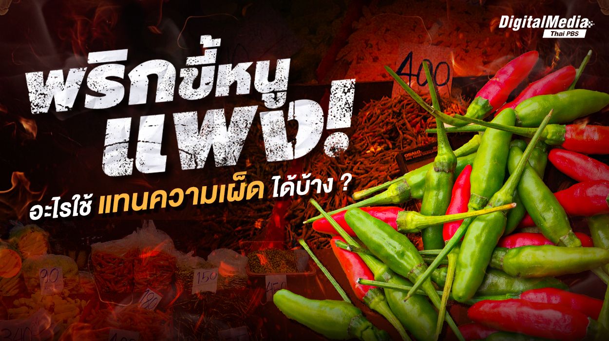 พริกขี้หนูแพง...อะไรพอแทนได้บ้าง ?