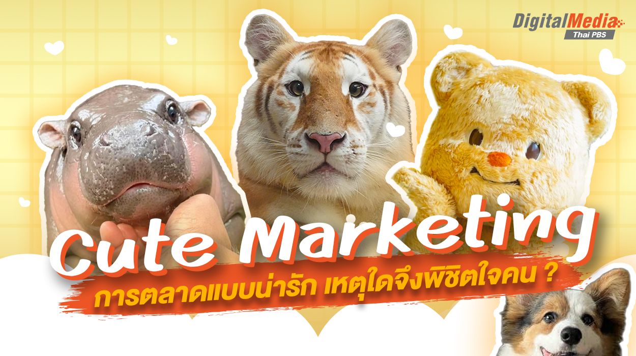 รู้จัก Cute Marketing การตลาดแบบน่ารัก เหตุใดจึงพิชิตใจคน ?