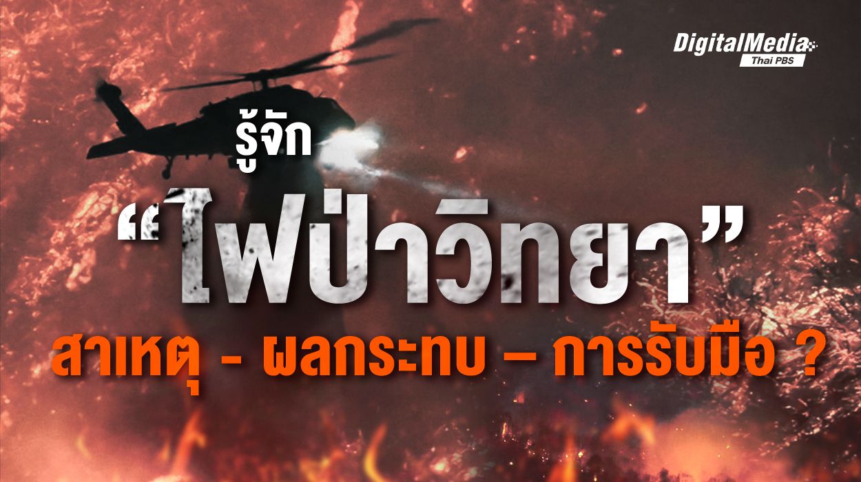 รู้จัก “ไฟป่าวิทยา” สาเหตุ - ผลกระทบ – การรับมือ ?