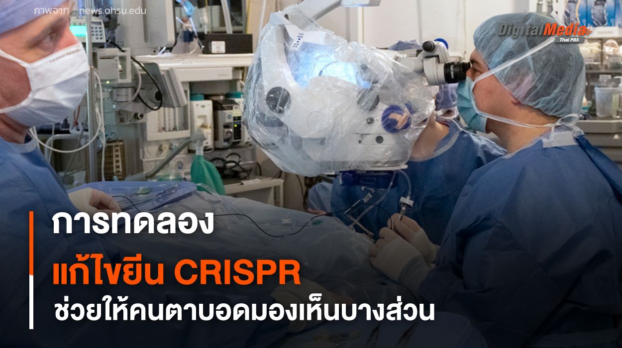การทดลองแก้ไขยีน CRISPR ทางคลินิก ช่วยให้คนตาบอดมองเห็นบางส่วน