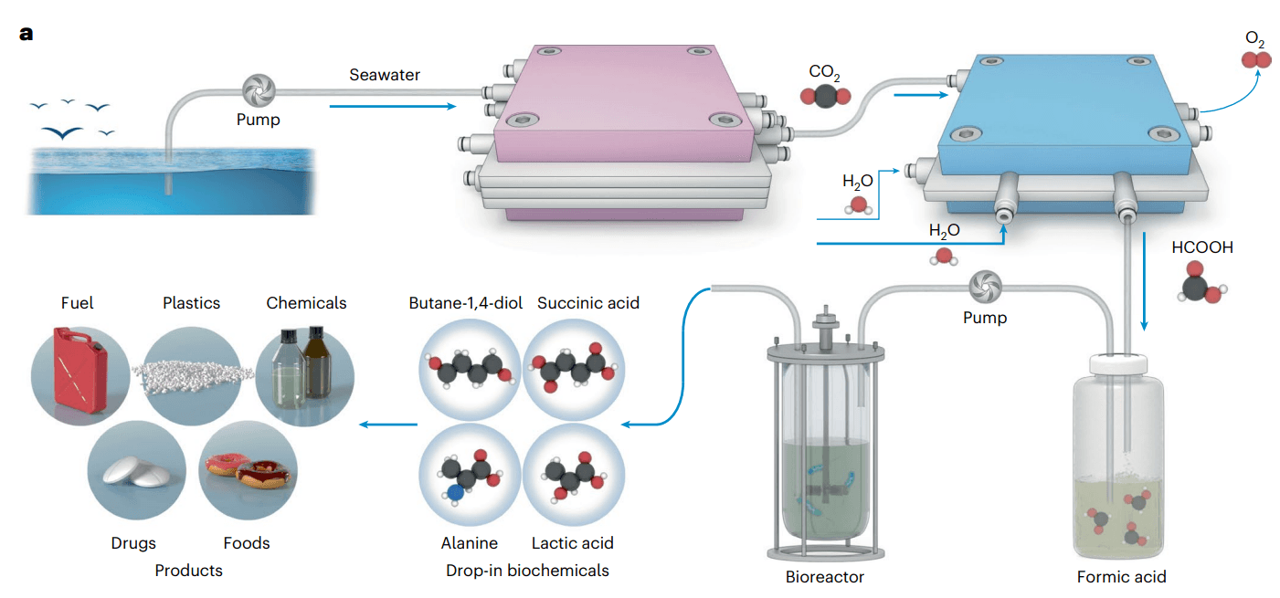 Carbon-capture-plastics_Nature-Catalysis_Image.png
