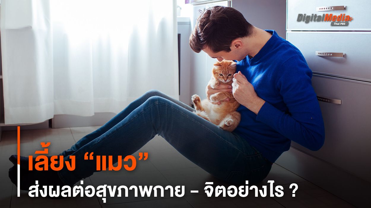 เลี้ยง “แมว” ส่งผลต่อสุขภาพกาย - จิตอย่างไร ?