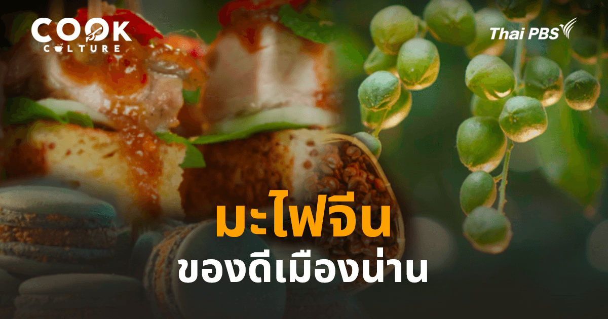 ชวนกิน ชวนเที่ยว น่านเมืองเท่…กับ “มะไฟจีน” ของดีที่คนยังไม่ค่อยรู้!