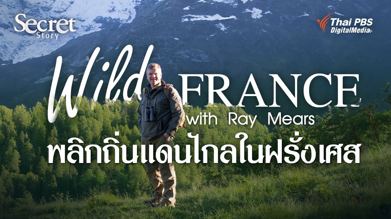 Secret Story | Wild France With Ray Mears พลิกถิ่นแดนไกลในฝรั่งเศส
