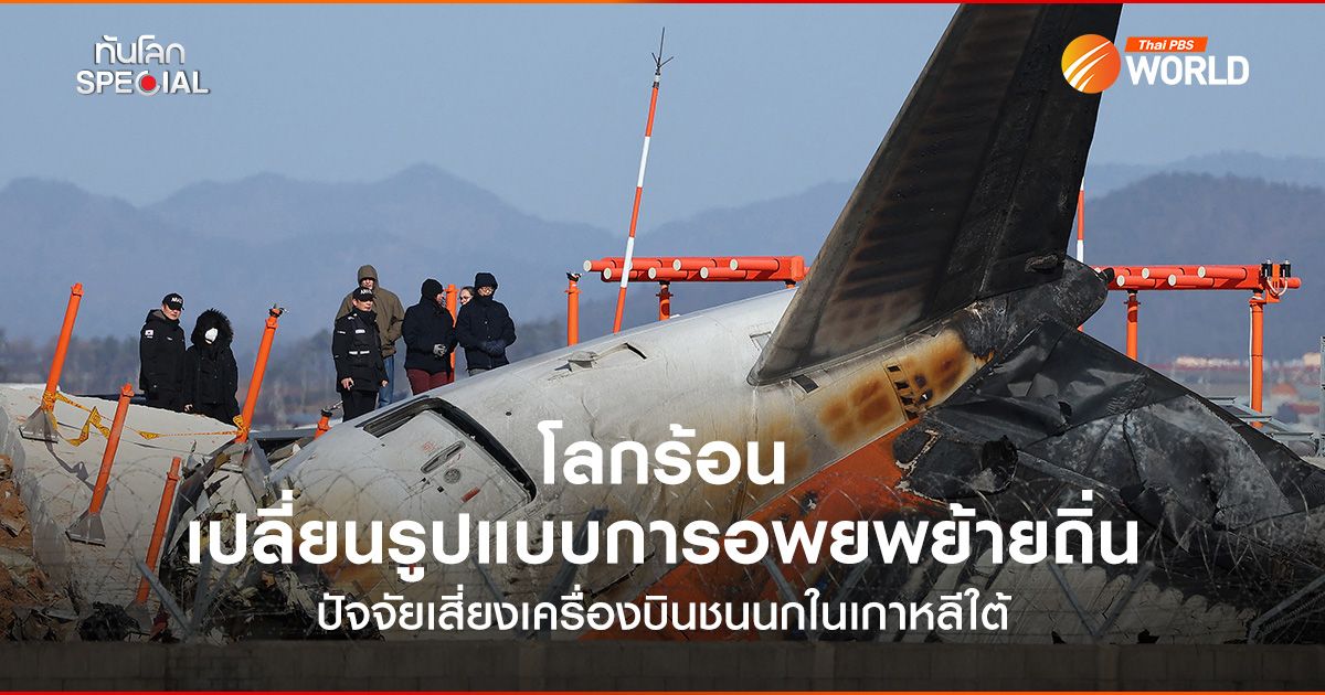 โลกร้อน เปลี่ยนรูปแบบการอพยพย้ายถิ่น ปัจจัยเสี่ยงเครื่องบินชนนกในเกาหลีใต้