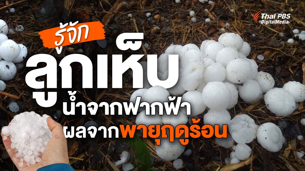 รู้จัก “ลูกเห็บ” น้ำจากฟากฟ้า ถล่มหลายพื้นที่ประเทศไทย ผลพวงพายุฤดูร้อน 