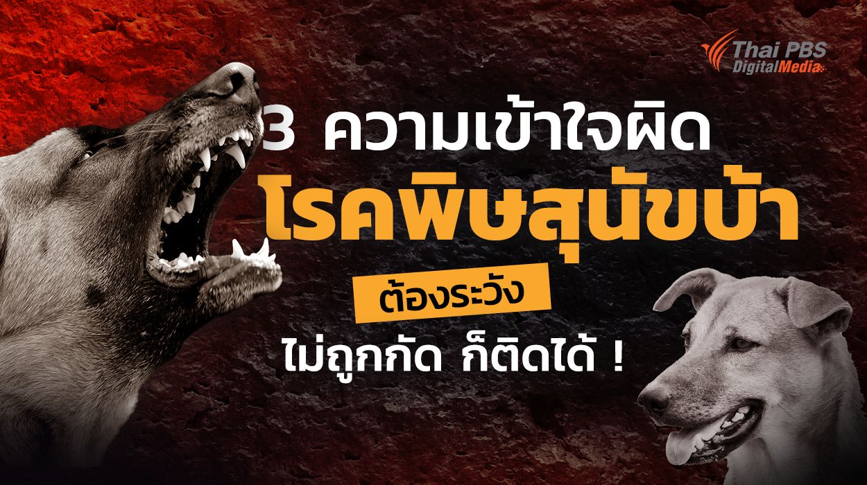 3 ความเข้าใจผิด “โรคพิษสุนัขบ้า” ภัยใกล้ตัวต้องระวังไม่ถูกกัด ก็ติดได้ !