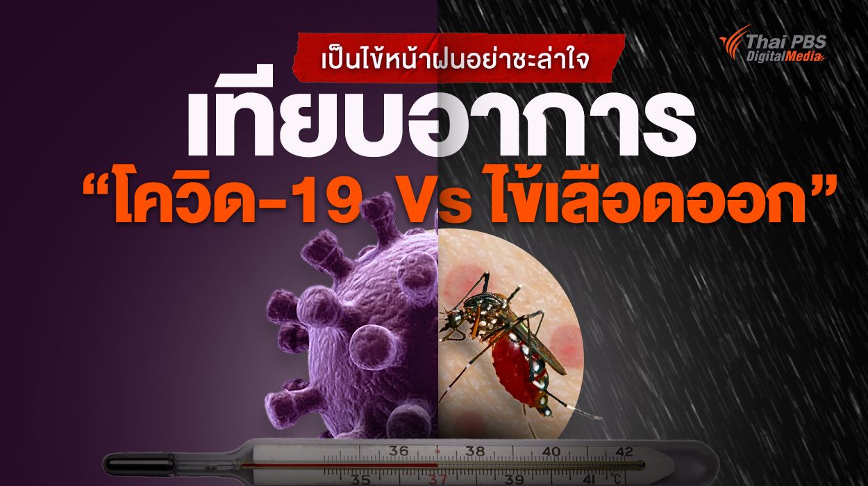 เป็นไข้หน้าฝนอย่าชะล่าใจ เทียบอาการ “โควิด-19 Vs ไข้เลือดออก”