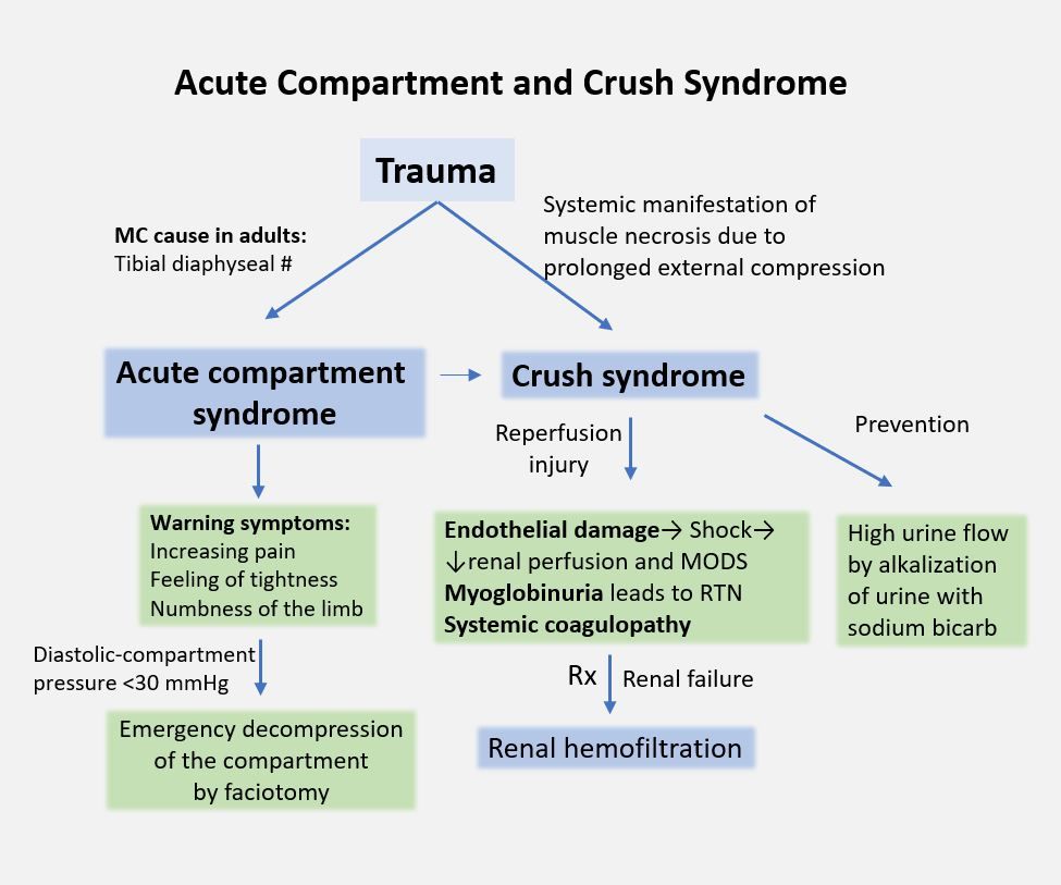 Crush Syndrome มีลักษณะการเกิดโรคคล้ายกับ Rhabdomyolysis คือการสลายของกล้ามเนื้ออย่างเฉียบพลัน