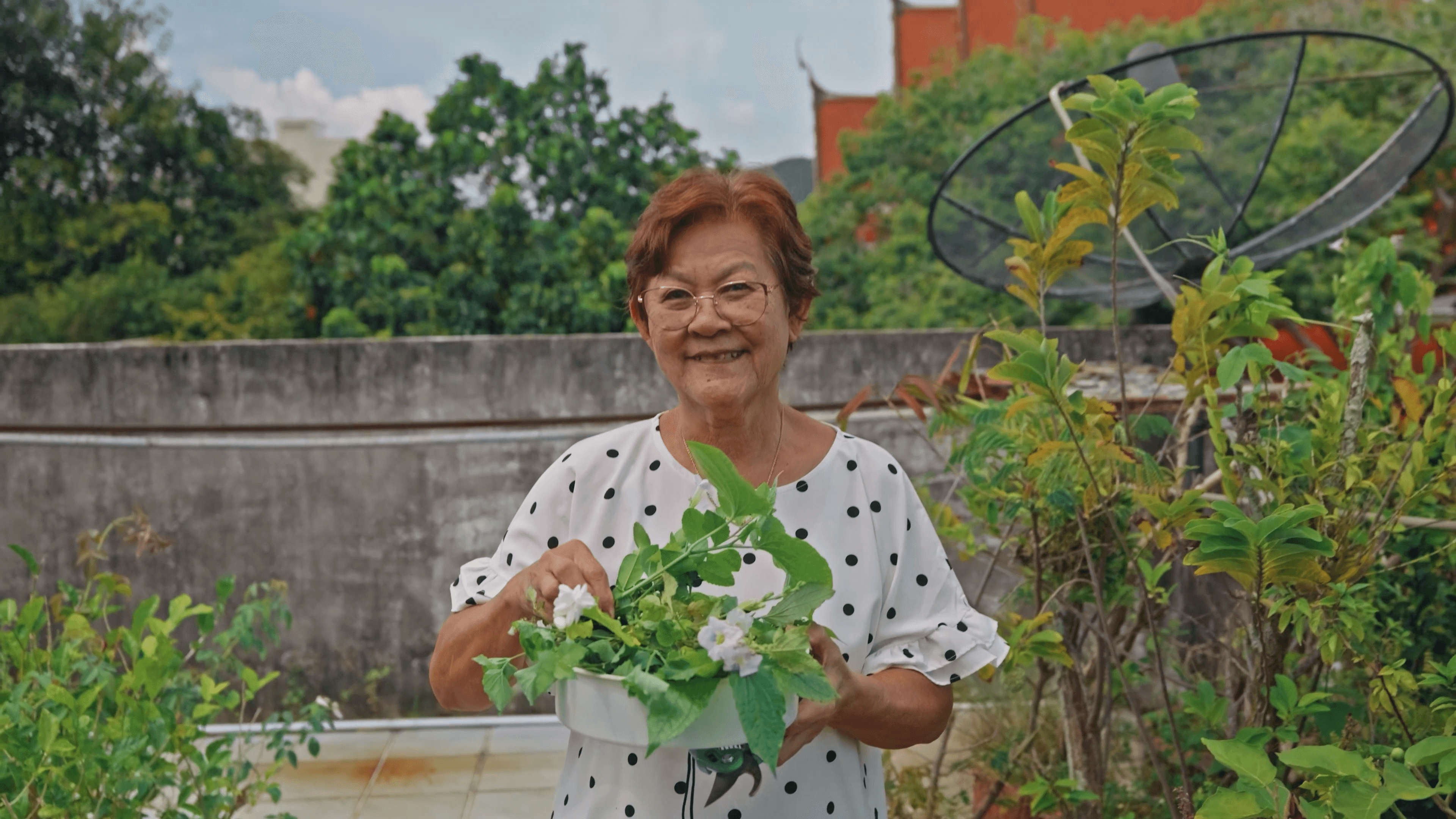 ป้าแดง และสวนผักลอยฟ้า