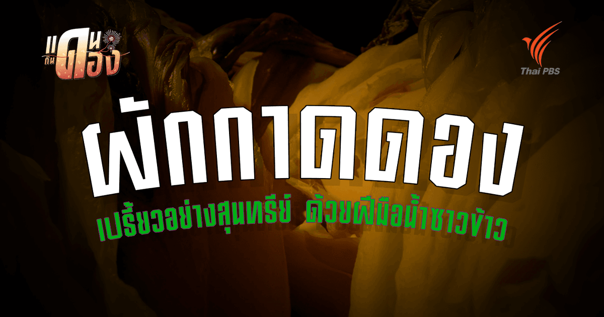 ถอดรหัส "ผักกาดดองน้ำซาวข้าว" ภูมิปัญญาบรรพบุรุษจีนสู่วิทยาศาสตร์ในโอ่ง