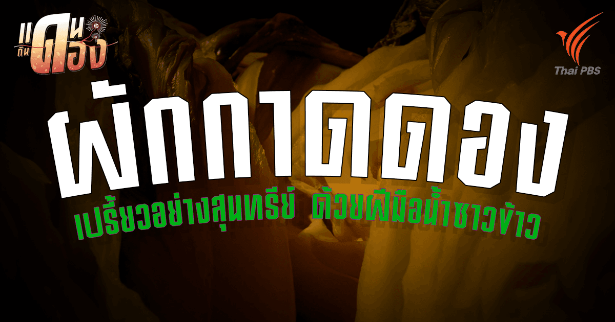 ถอดรหัส "ผักกาดดองน้ำซาวข้าว" ภูมิปัญญาบรรพบุรุษจีนสู่วิทยาศาสตร์ในโอ่ง