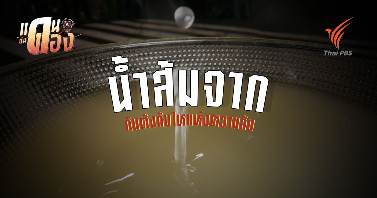 น้ำส้มจาก กันตังกับไหแห่งความลับ