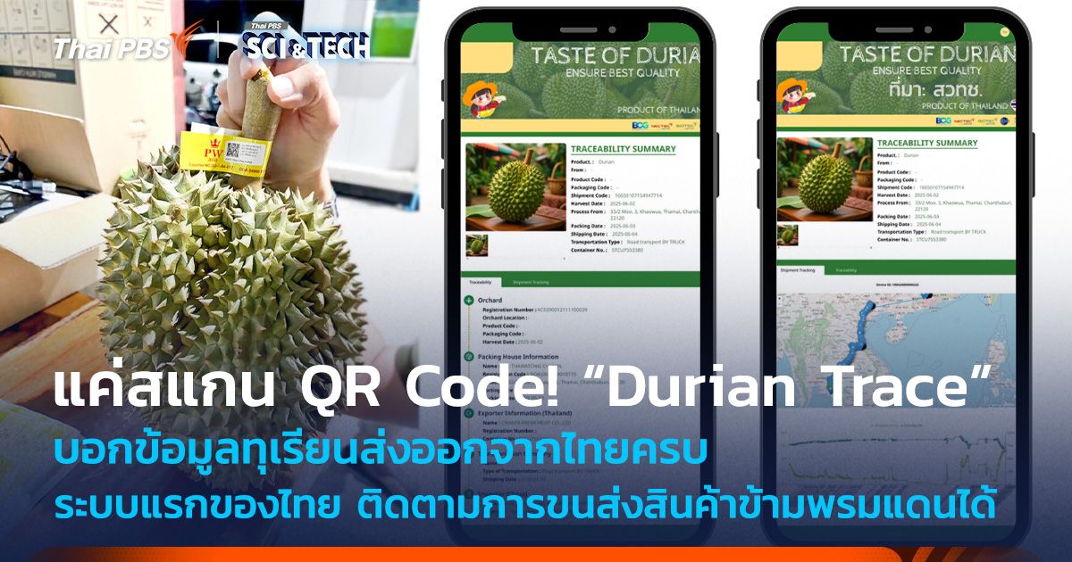 แค่สแกน QR Code! “Durian Trace” บอกข้อมูลทุเรียนส่งออกไทยครบ ไม่ต้องโหลดแอปฯ