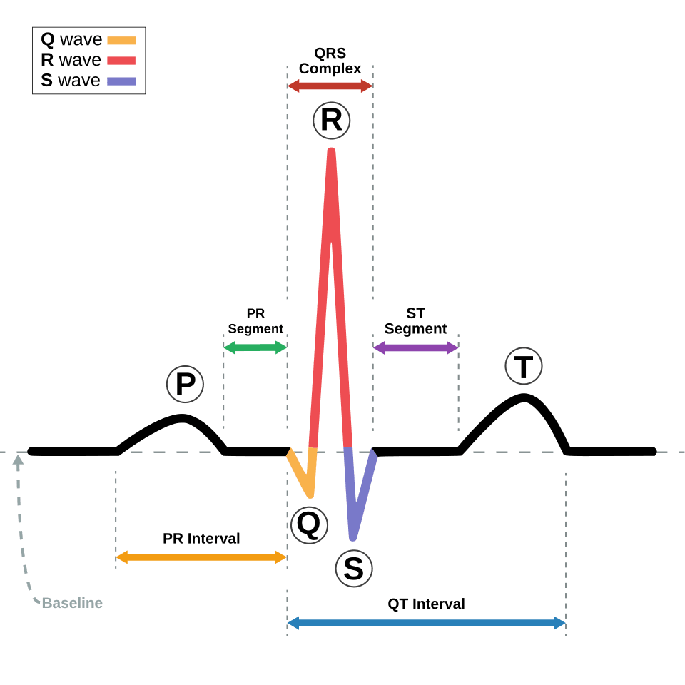 การวัดคลื่นไฟฟ้าหัวใจหรือ ECG เป็นวิธีในการเฝ้าระวังและตรวจหา AF ที่ได้ผลที่สุด โดยเฉพาะอย่างยิ่งการตรวจวัดระยะยาว