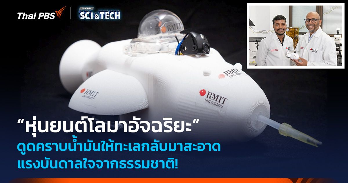 แรงบันดาลใจจากธรรมชาติ! “หุ่นยนต์โลมาอัจฉริยะ” ดูดคราบน้ำมันให้ทะเลกลับมาสะอาด