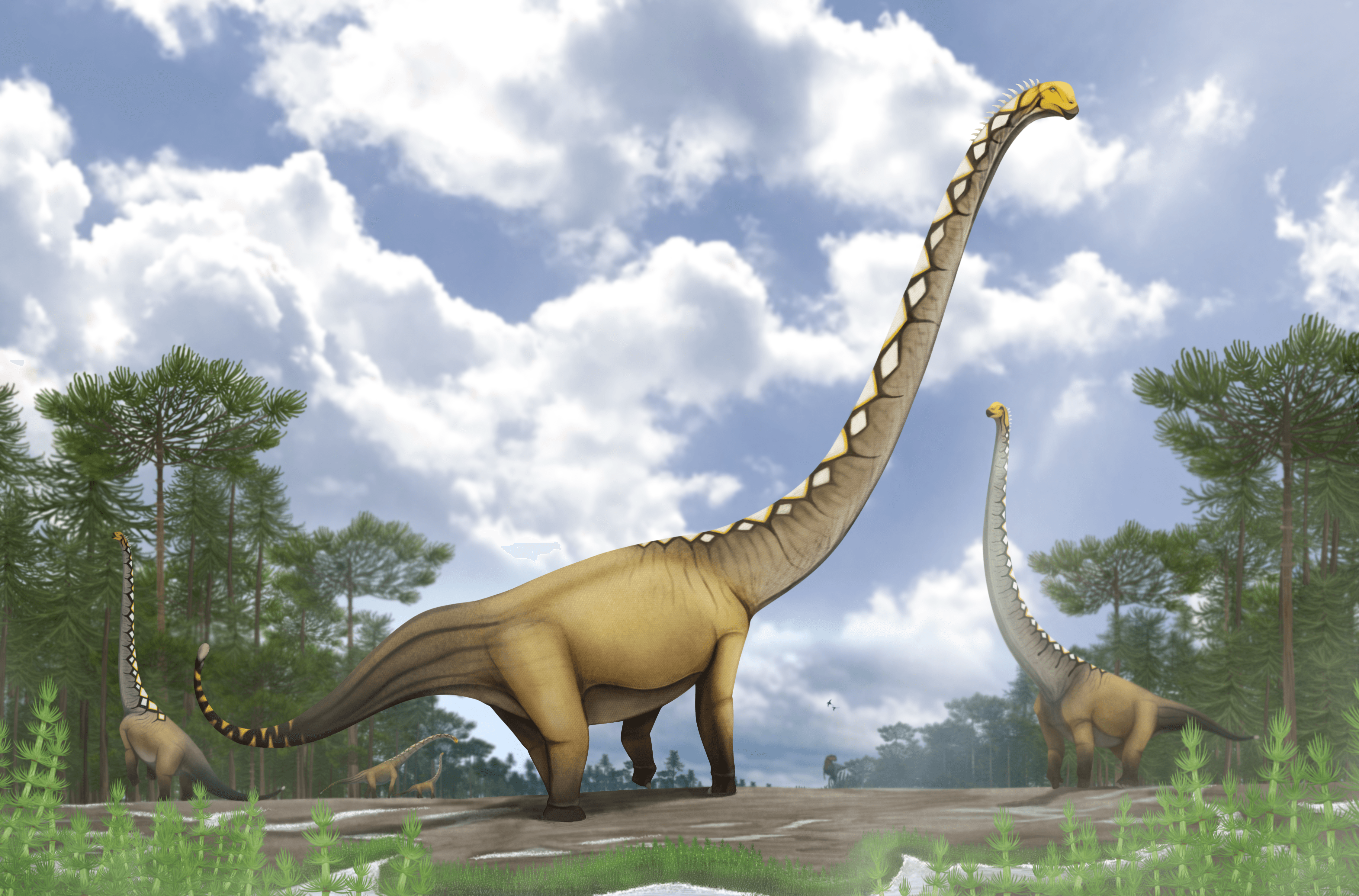 ภาพวาด “อุรคาซอรัส กาฬสินธุ์เอนซิส” ภาพจาก นายอภิรัตน์ นิลพนาพรรณ และคณะ (Apirut et al., 2026)