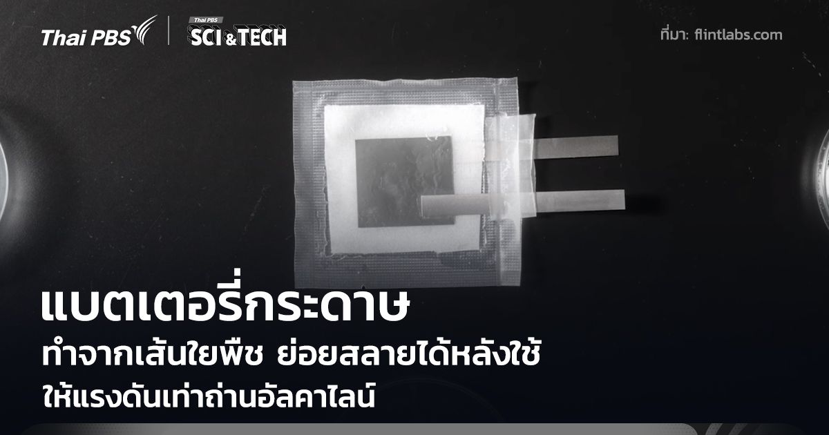 ลาก่อนถ่าน AA! พบกับ "แบตเตอรี่กระดาษ" ทำจากพืช แรงดันเท่าอัลคาไลน์ คาดพร้อมใช้ปลายปี 2026
