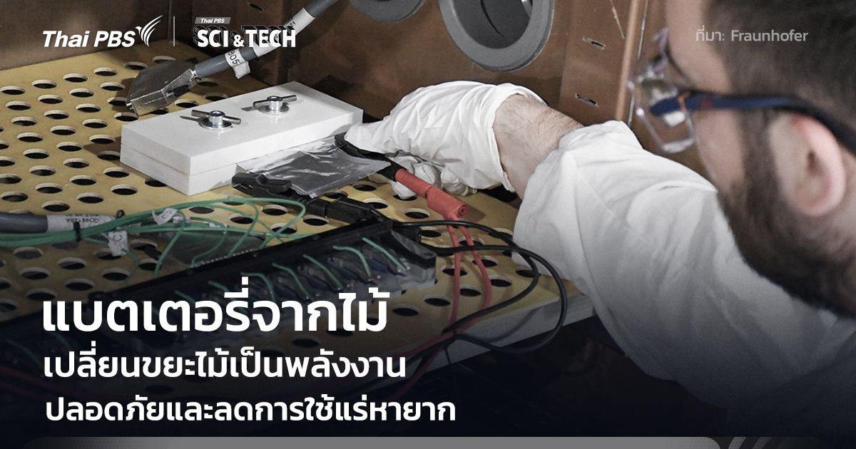 ไม่ต้องเหลือทิ้ง! นักวิจัยผลิต "แบตเตอรี่จากเศษไม้" ปลอดภัยและลดการใช้แร่หายาก