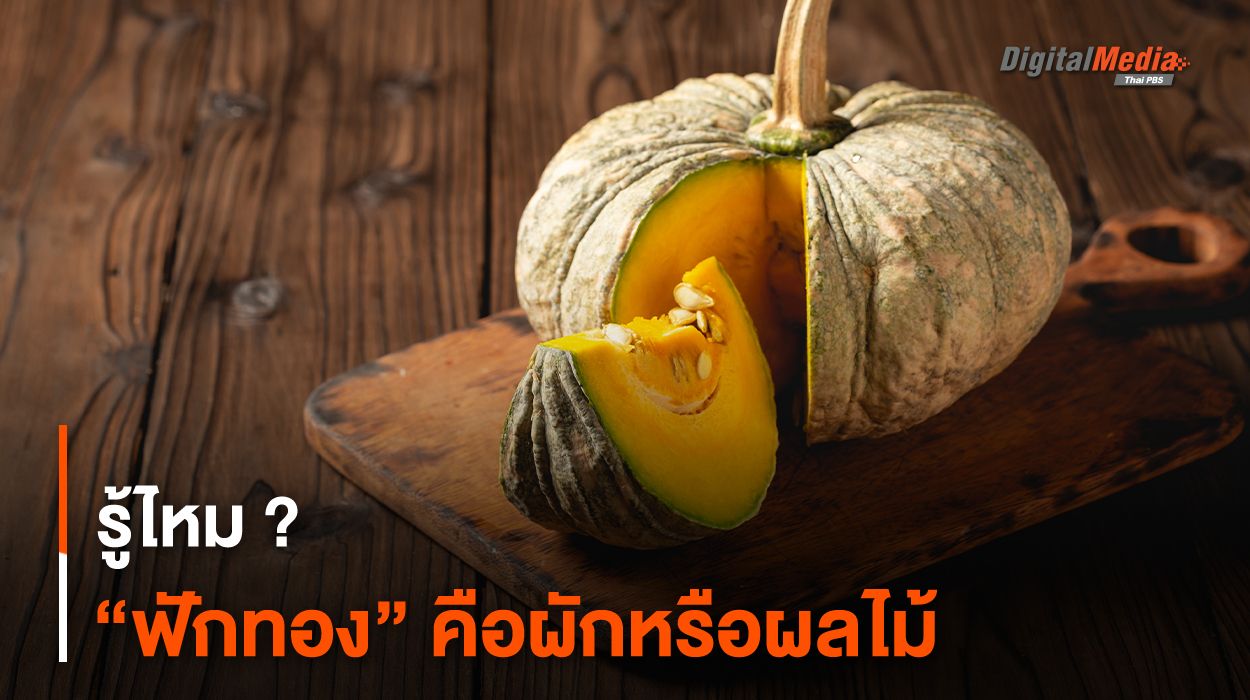 รู้ไหม ? “ฟักทอง” คือผักหรือผลไม้