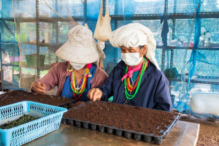 โครงการฟาร์มตัวอย่างฯ พัฒนาด้านอาชีพและการเกษตรอย่างยั่งยืน (ภาพ: สำนักงาน กปร.)