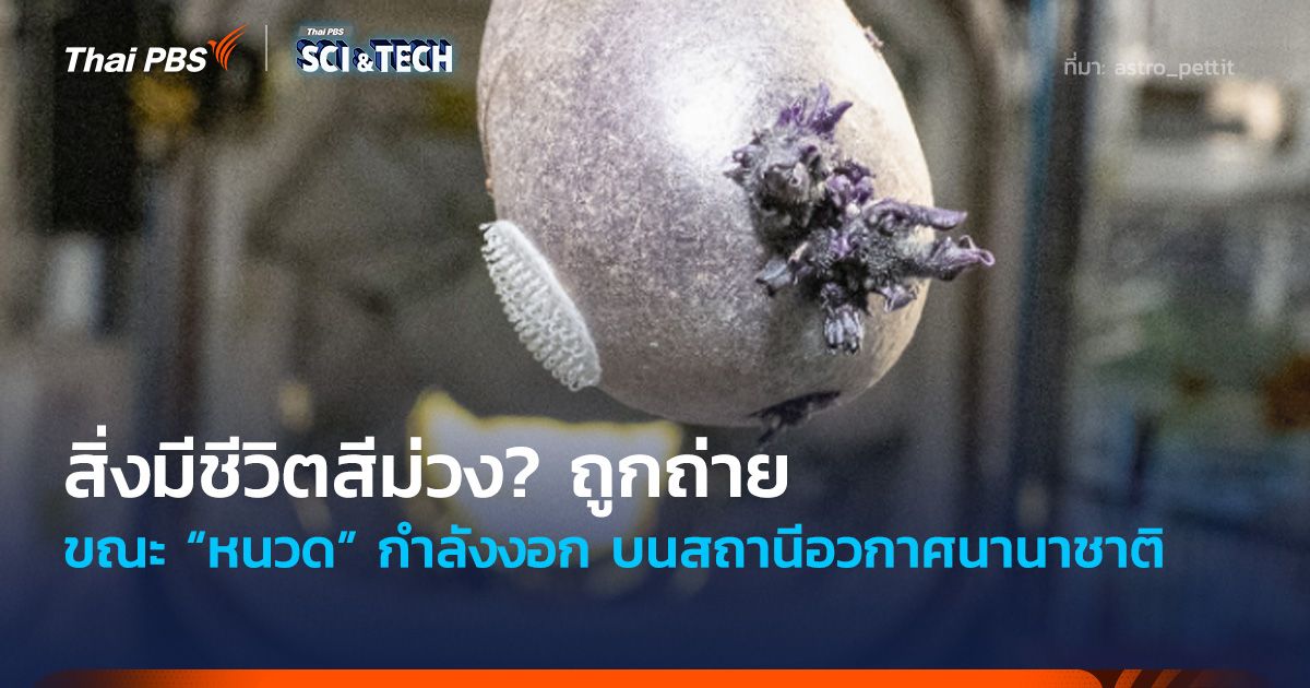 สิ่งมีชีวิตสีม่วง? ถูกถ่าย ขณะ “หนวด” กำลังงอก บน ISS