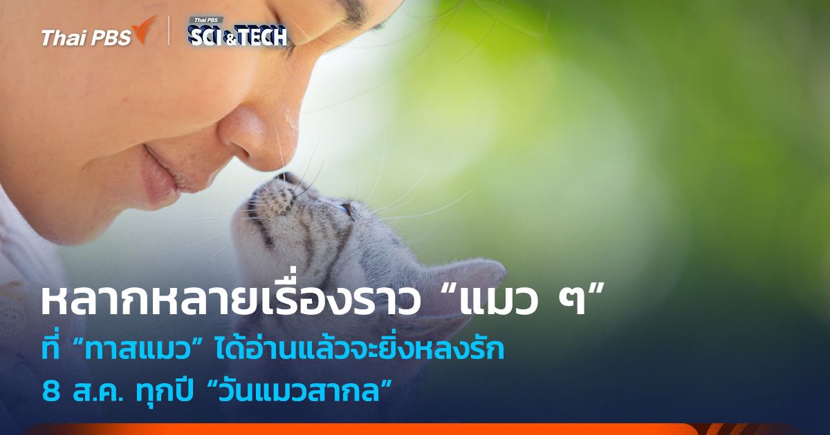 หลากหลายเรื่องราว “แมว ๆ” ที่ “ทาสแมว” ได้อ่านแล้วจะยิ่งหลงรัก