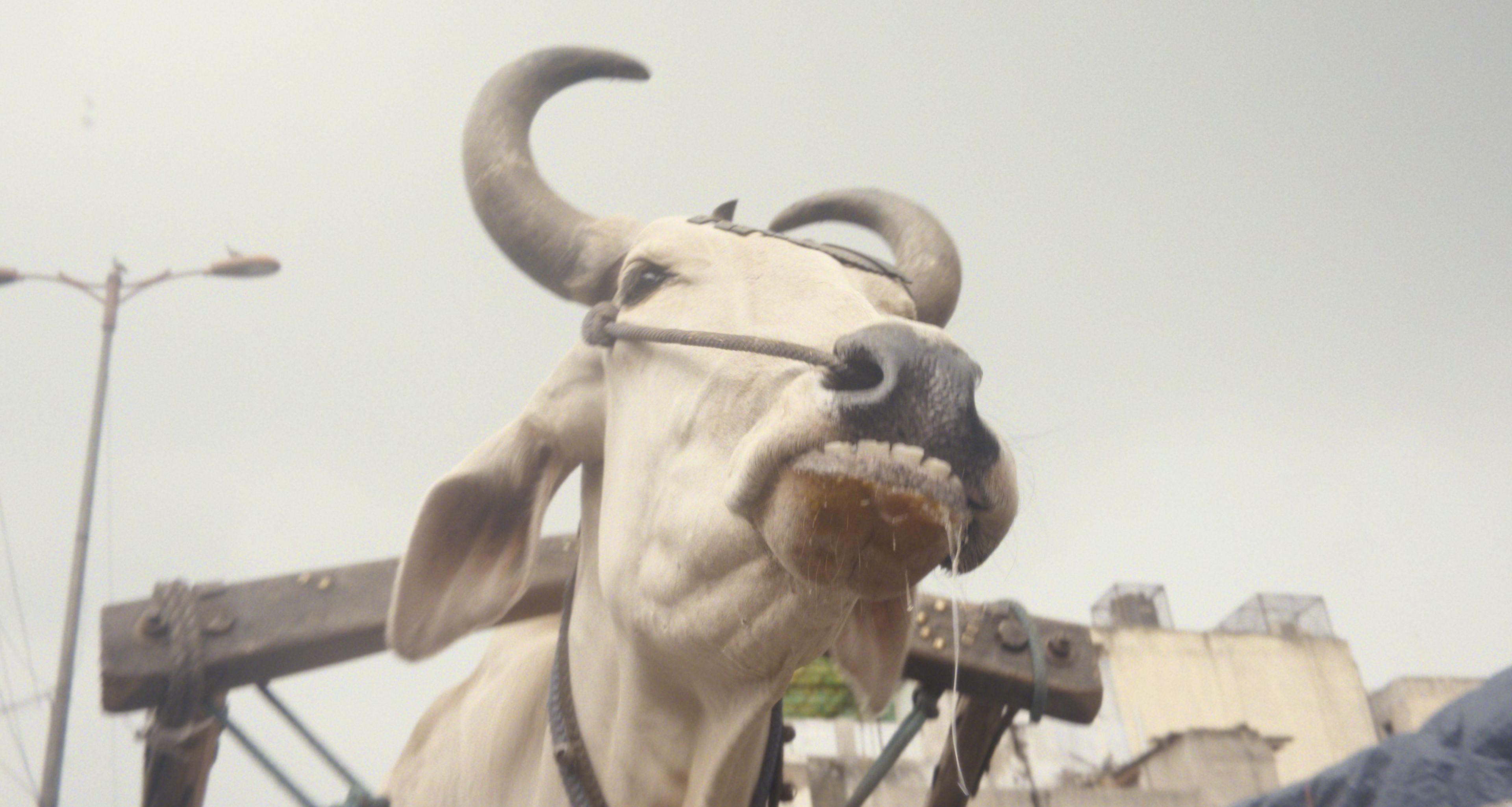 ภาพจากสารคดี Invisible Demons