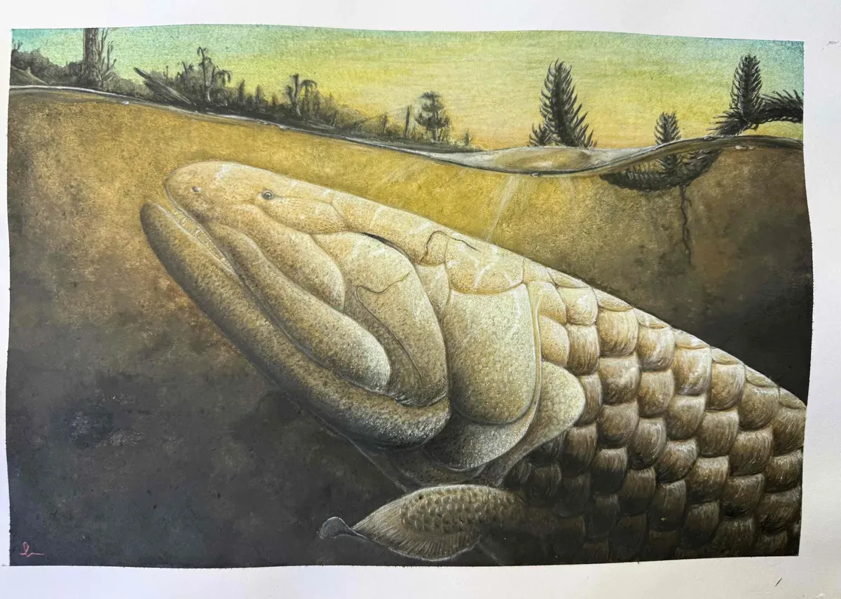 ภาพประกอบของ Koharalepis jarviki ซึ่งเป็นปลากินเนื้อโบราณ ในยุคดีโวเนียน (Devonian) ภาพจาก Thomas Turner, Flinders University