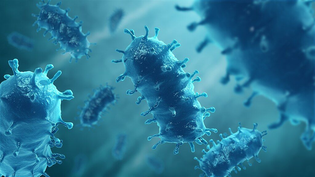 ภาพจำลองของเชื้อไวรัสพิษสุนัขบ้ากลุ่ม Lyssavirus