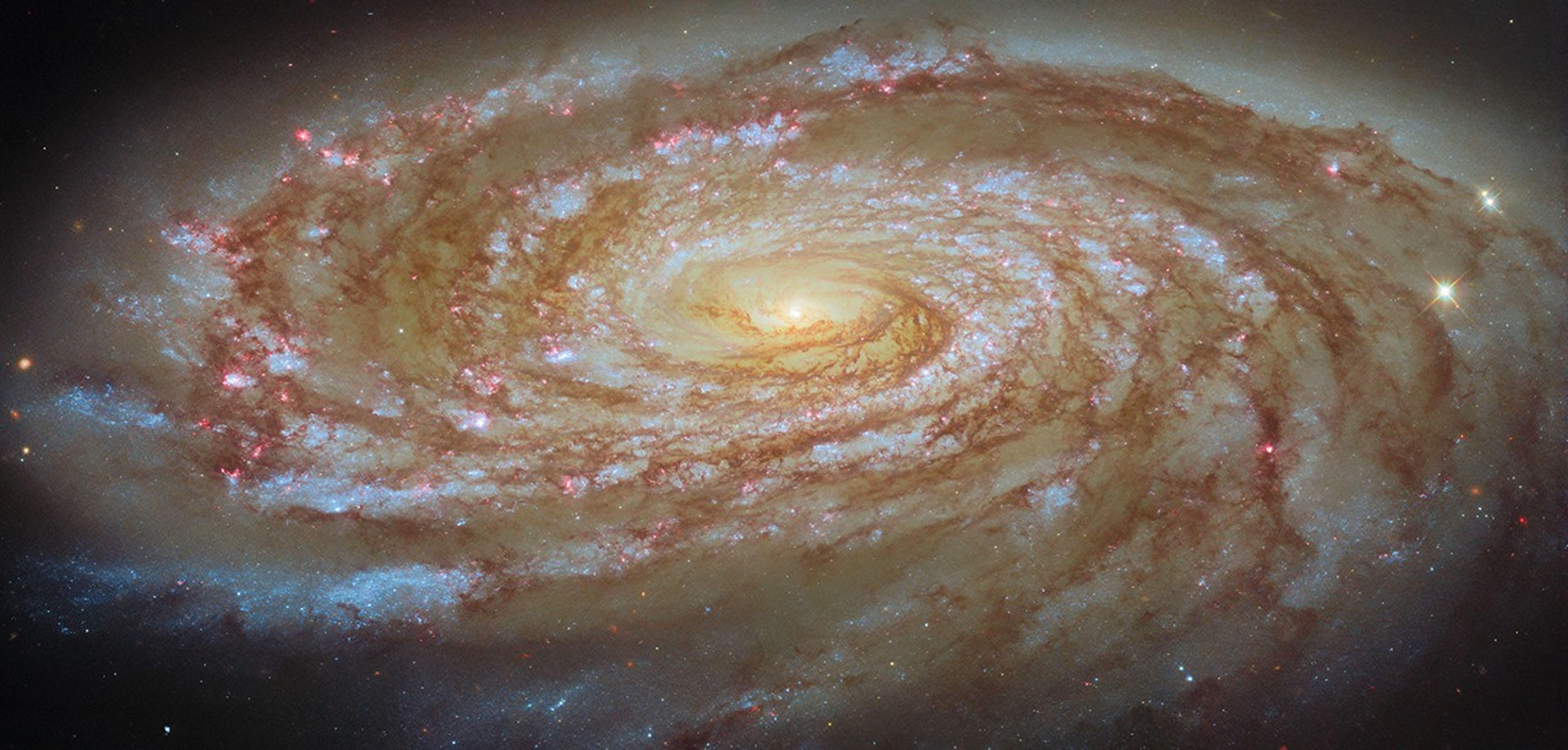 ภาพของกาแล็กซี M88 จากกล้องโทรทรรศน์อวกาศฮับเบิล ที่มา NASA