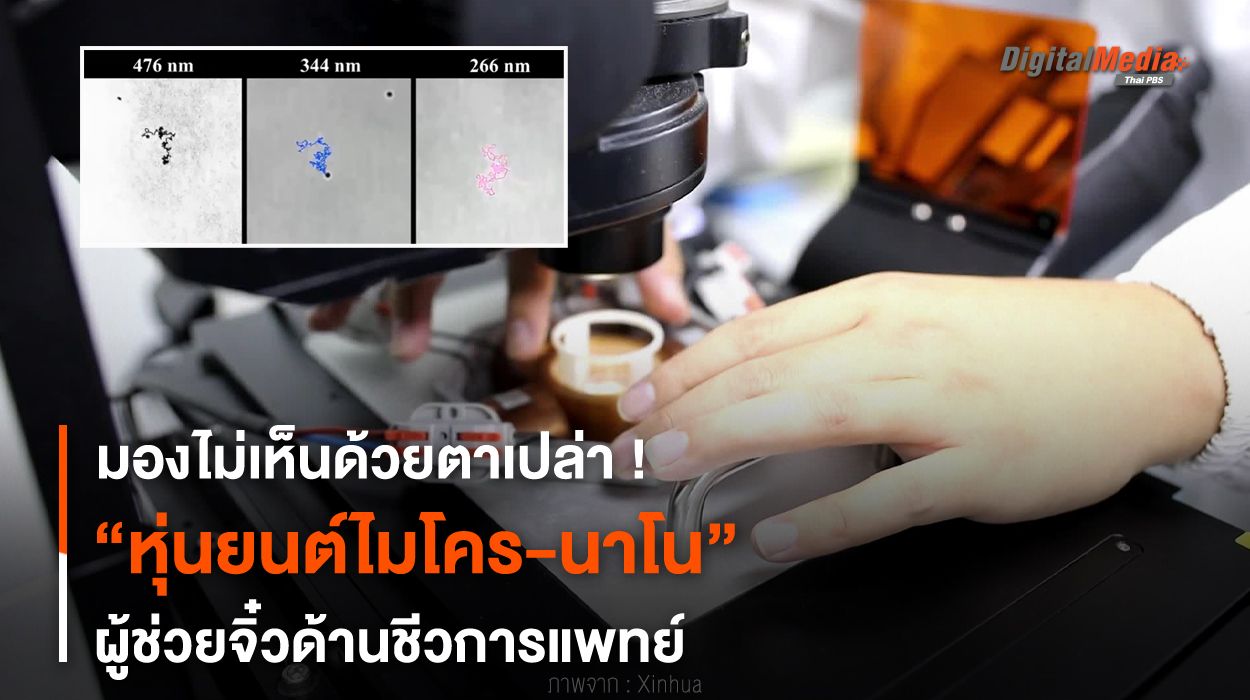 มองไม่เห็นด้วยตาเปล่า ! “หุ่นยนต์ไมโคร-นาโน” ผู้ช่วยจิ๋วด้านชีวการแพทย์