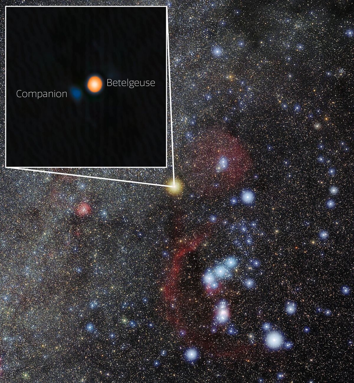 นักดาราศาสตร์ NASA ค้นพบ “ดาวคู่” (Companion) ของ “ดาวบีเทลจุส” (Betelguese) ดาวคู่ดวงนี้โคจรรอบดาวบีเทลจุสในวงโคจรที่แคบอย่างเหลือเชื่อ ภาพจาก International Gemini Observatory, NOIRLab, NSF, AURA 