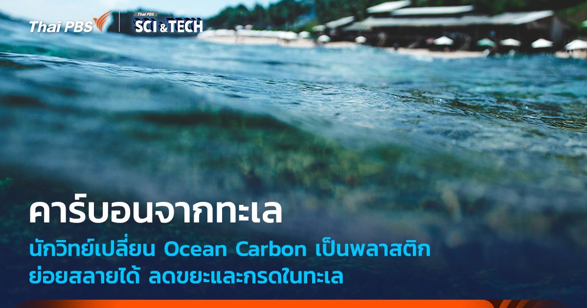 นักวิทย์เปลี่ยน Ocean Carbon เป็นพลาสติกย่อยสลายได้ ลดขยะและกรดในทะเล