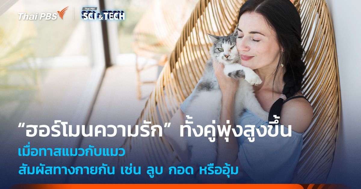ลูบ กอด หรืออุ้มแมว! จะทำให้ “ฮอร์โมนความรัก” ทาสแมวและแมวพุ่งสูงขึ้น
