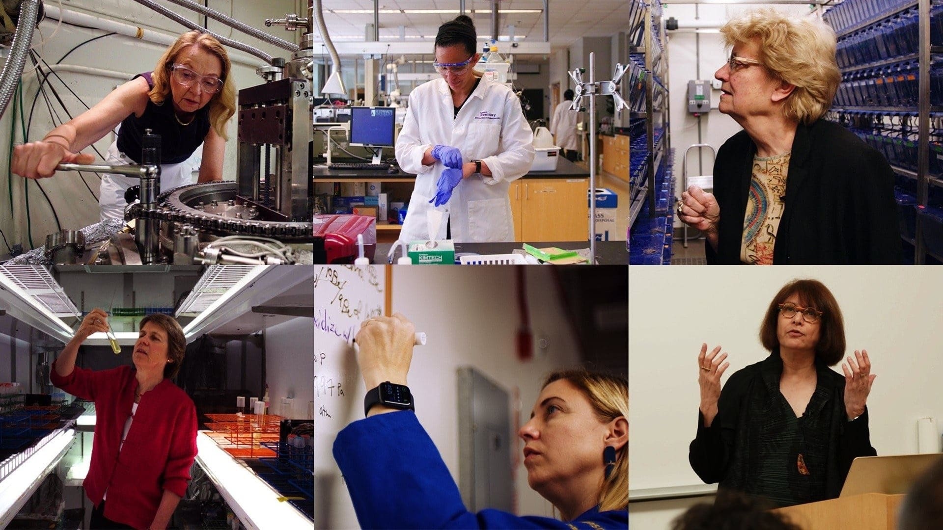 ภาพบางส่วนจากสารคดี Picture a Scientist