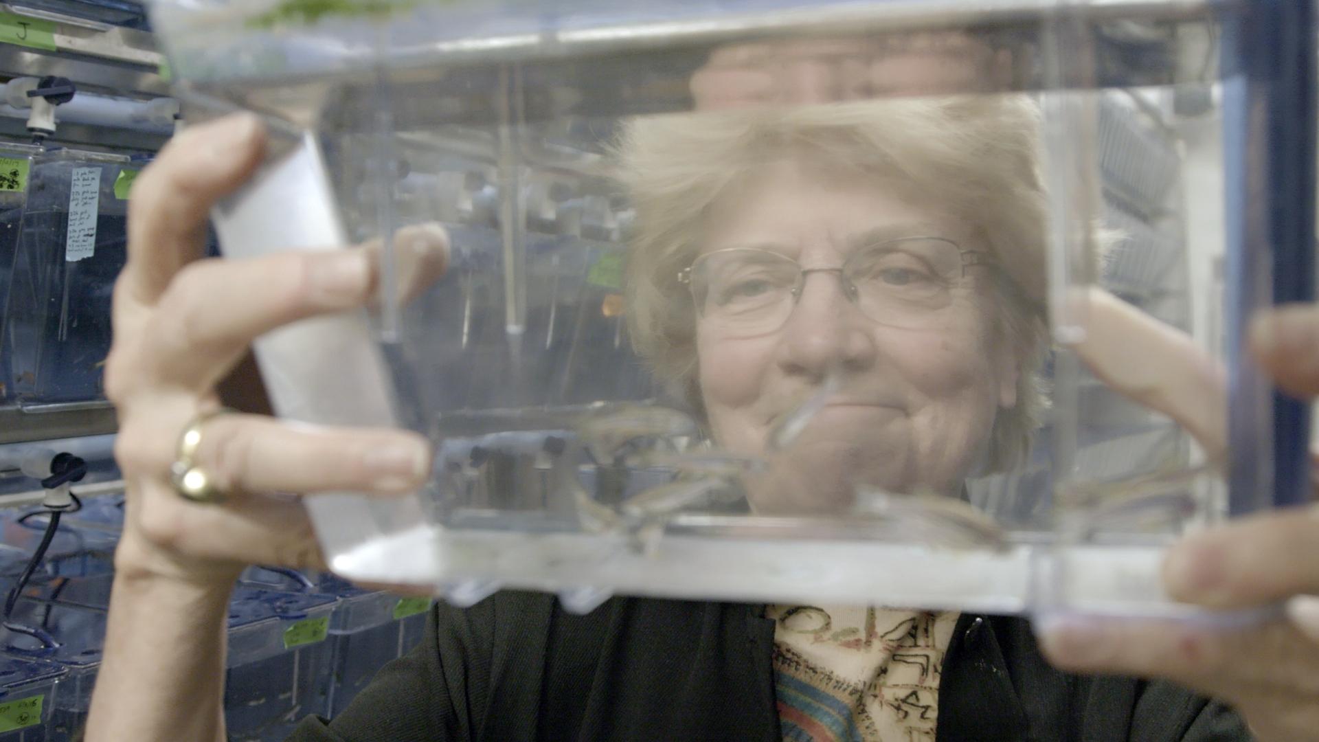 ภาพบางส่วนจากสารคดี Picture a Scientist