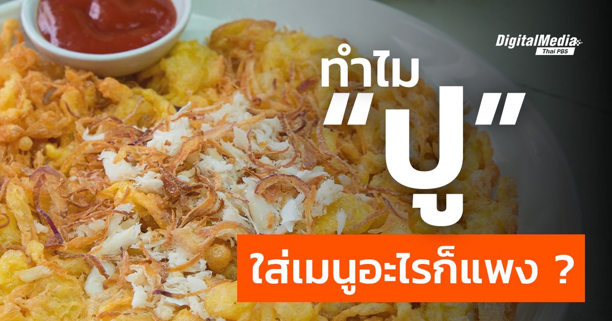 เปิดเรื่องน่ารู้ “ปู” วัตถุดิบที่เพิ่มมูลค่าให้อาหาร